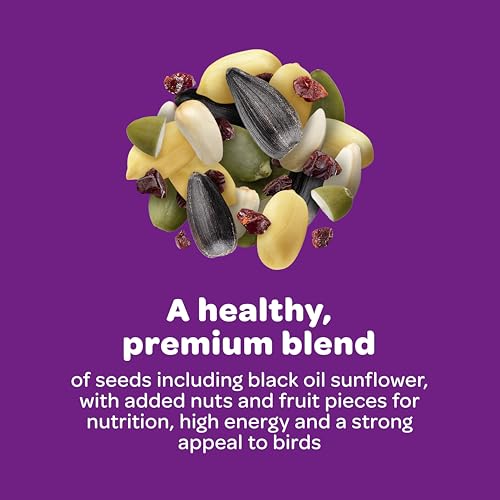 Kaytee Nut & Fruit Wild Bird Seed, 5 lb