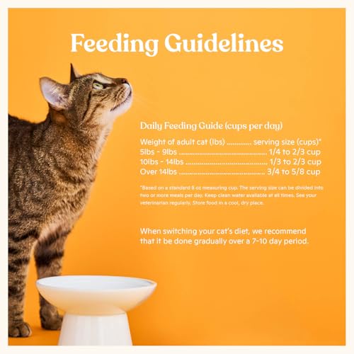 Made by Nacho Dry Cat Kibble 10lb Bag, High Protein Premium Cat Food with Freeze-Dried Pieces, Cage-Free Chicken, Duck & Quail, Limited Ingredients