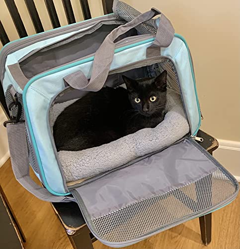 Enjoying Cat Mat Bed 10" x 15" Pet Bed with Pillow Around for Puppy Kitten Curled Sleeping Beds for Carrier/Crate Small Dog Cushion, Anti Skid