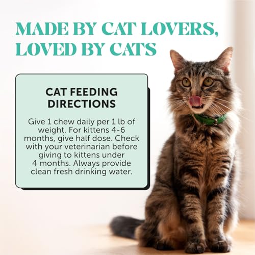 Fresh Breath Dental Bites for Cats – Crunchy & Creamy Cat Dental Treats for Fresh Breath, Tartar & Plaque Control – Dual-Texture Cat Oral Care Bites for Bright Teeth & Healthy Gums – 30 Day Supply