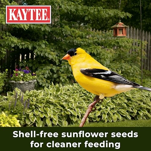 Kaytee No Mess Finch Seed and Nyjer Blend, Attracts Goldfinches, Chickadees, Junos, Finches and Other Wild Birds, 8 Pounds