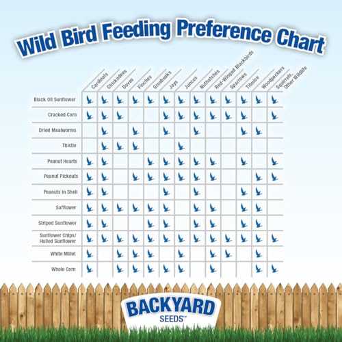 CountryMax Backyard Seeds Songbird Blend Wild Bird Seed – 50 lb Bag – Premium Mix with Sunflower Seeds, Safflower, Peanuts, Millet – Attracts