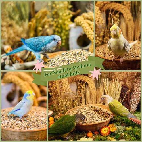 Premium Parrot Food| Protein-Rich Low-Fat Formula | Cockatiel, Conure, Lovebird, Quaker, Parrotlet | No Corn, Soy, Peanuts | Gourmet Whole Grains