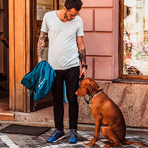 GEIT 2/4/5/6FT Dog Leash, Heavy Duty Rope Leashes, Reflective Nylon Pet Lead with Aluminum Quick Release/Locking Tactical Frog Clip for Small Medium