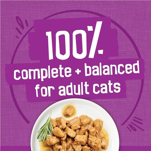 Purina Friskies Gravy Wet Cat Food Variety Pack, Poultry Shreds, Meaty Bits and Filets - (Pack of 32) 5.5 oz. Cans