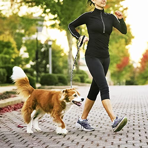 Metal Chain Dog Leash Chew Proof for Dogs, Black, 3.0mm, 4FT | Close Control for Training and Busy Areas, Chew Resistant Chain, Padded Handle, Swivel