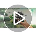 CousDUoBe 9Pcs Resin Castle Decorations Set,Realistic Fish Tank Castle with Eco-Friendly Design,Fish Tank Decorations Aquarium Accessories
