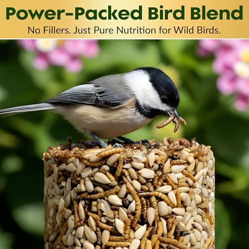 Mealworm Bird Seed Cylinders with Hole – Premium Mealworm Birdseed Log – Sunflower Chips & Dried Mealworms for Wild Birds – Natural High Energy Seed
