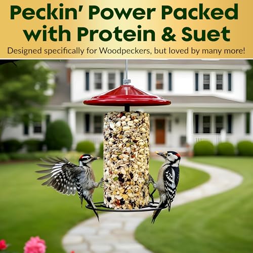 Woodpecker Bird Seed Cylinders with Hole – Premium Woodpecker Food Blend with Sunflower Chips, Peanuts & Suet – Natural High Energy Bird Seed, No