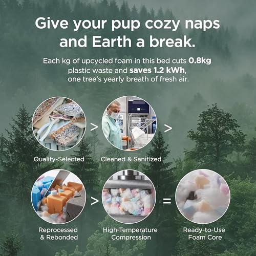 Bedsure SupportMax XL Orthopedic Dog Beds Large Sized Dog - Extra Thick Supportive Dogs Couch with Waterproof Washable Cover, Extra Large Comfort Pet