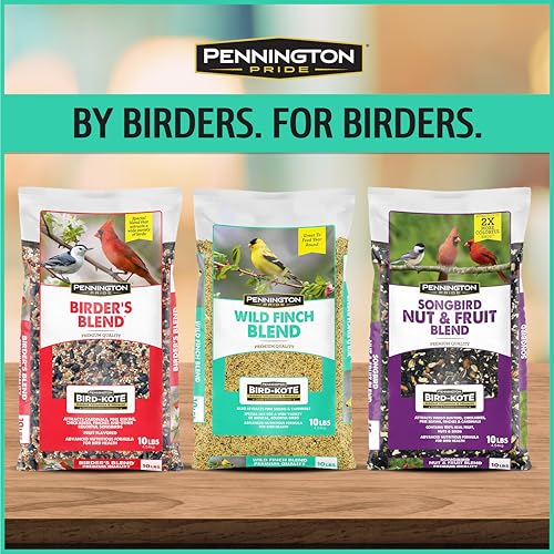 Pennington Pride Wild Finch Blend, Wild Bird Seed for Outside Feeders, Special Mix for a Variety of Musical & Colorful Songbirds, Great Bird Food to