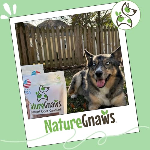 Nature Gnaws USA Turkey Tendon Rings for Dogs (8oz) - Delicious Grain Free Reward Snack for Small, Medium & Large Breeds - Premium Natural Dog Chew