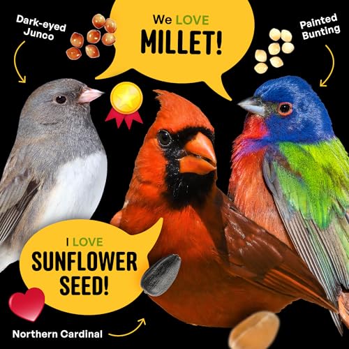 All Birds Wild Bird Seed – 10 lb. Classic Blend with Black Oil Sunflower, White Millet, Safflower, Peanuts & Sunflower Hearts – Balanced Bird Food