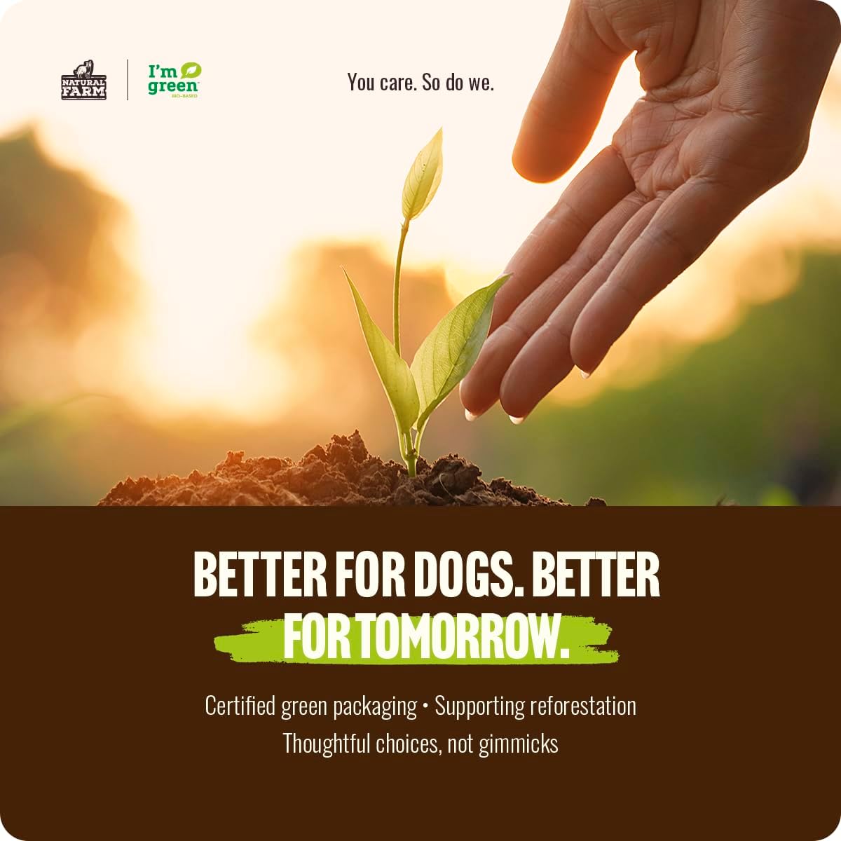 Natural Farm Odor-Free Bully Sticks (6 Inch, 25 count),1.3 lb. Bag, Fully Digestible 100% Beef Pizzle Chews,Grass-Fed, Non-GMO,Grain-Free, Natural