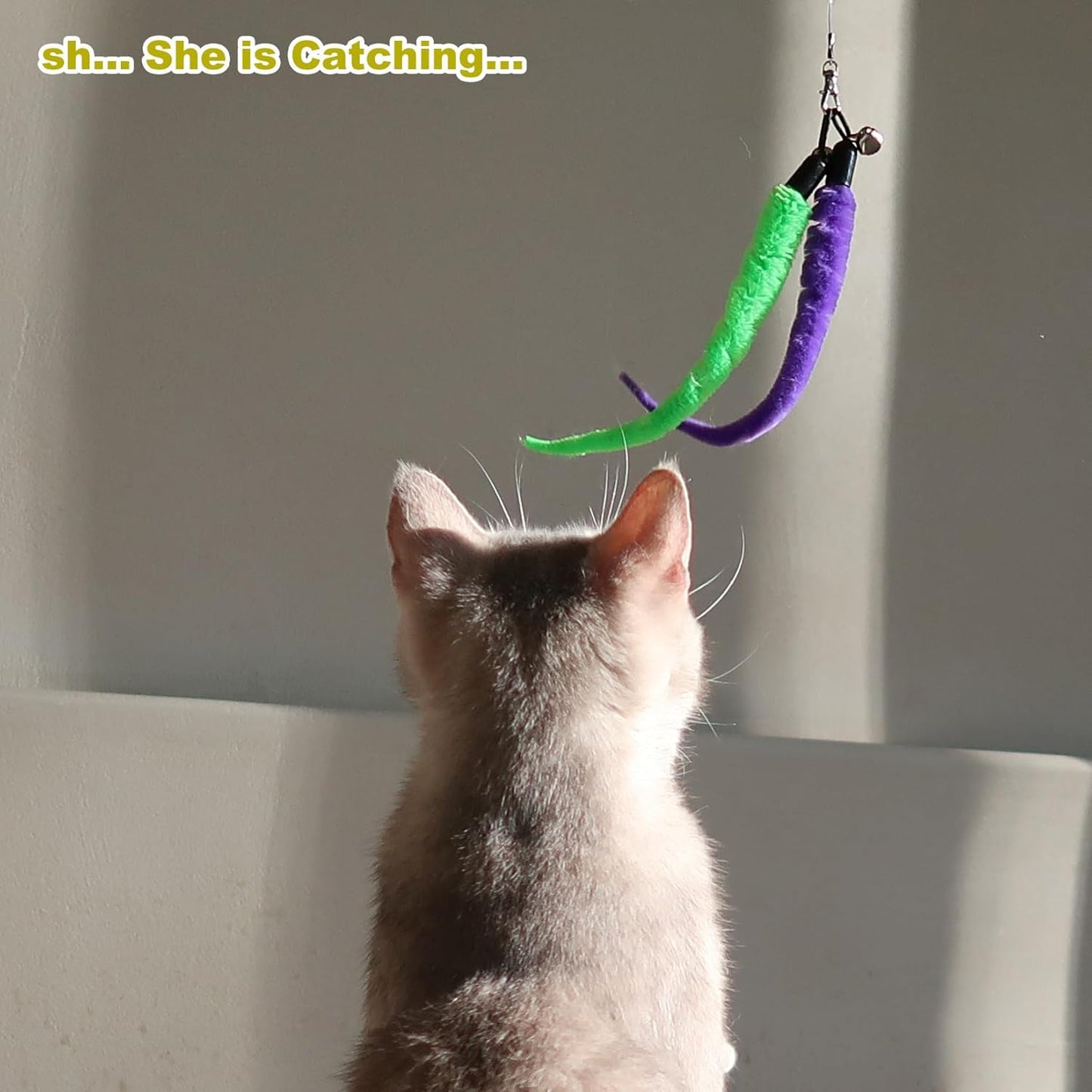 Cat Toys for Indoor Cats, Interactive Cat Toy 2PCS Retractable Wand Toy and 9PCS Cat Feather Toys Refills, Funny Kitten Toys Cat Fishing Pole Toy for