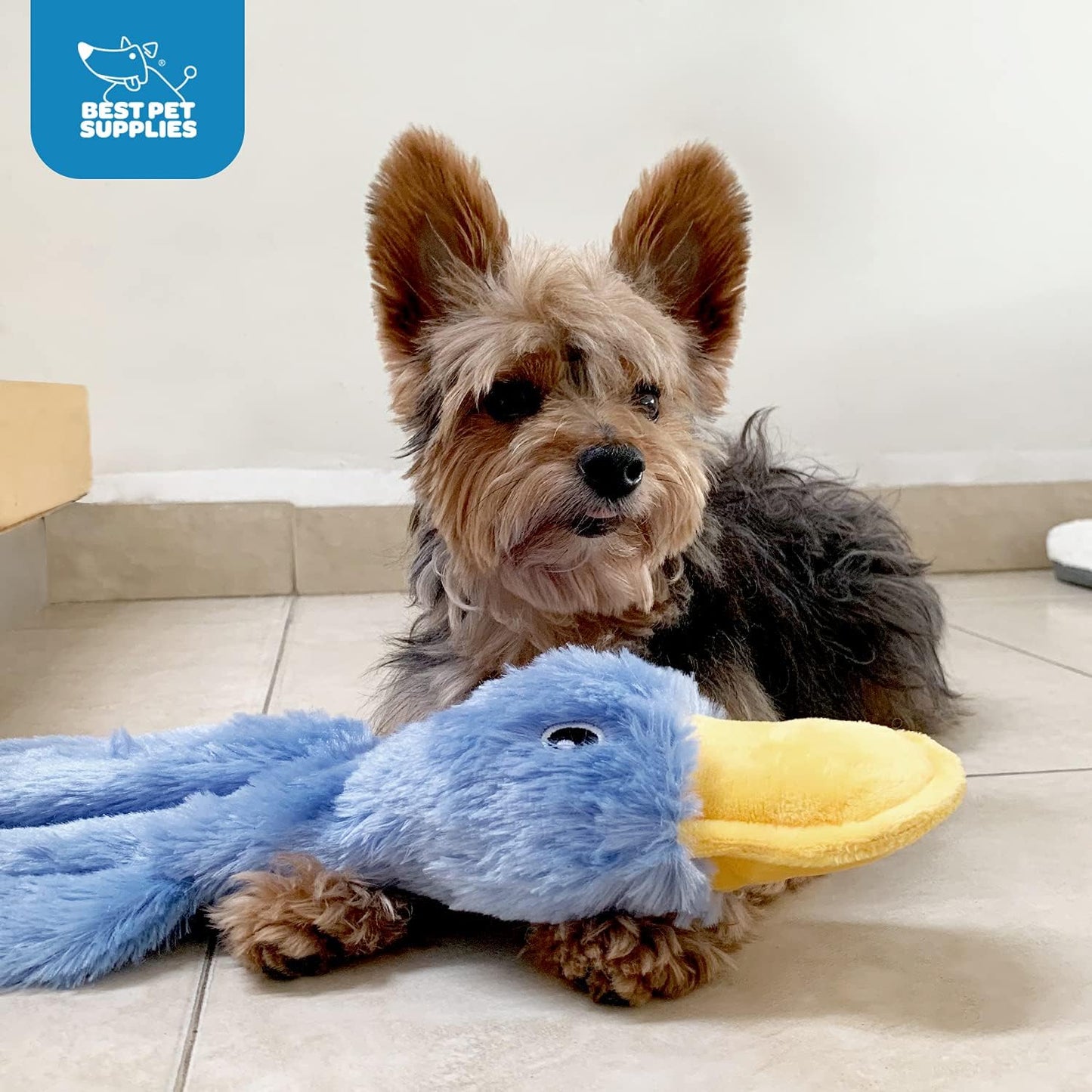 Best Pet Supplies Interactive Squeaky Dog Chew Toy, Ideal Dog Toys for Chewers, Small, Medium & Large Dogs, and Fetch Lovers - Crinkle Duck (Yellow)
