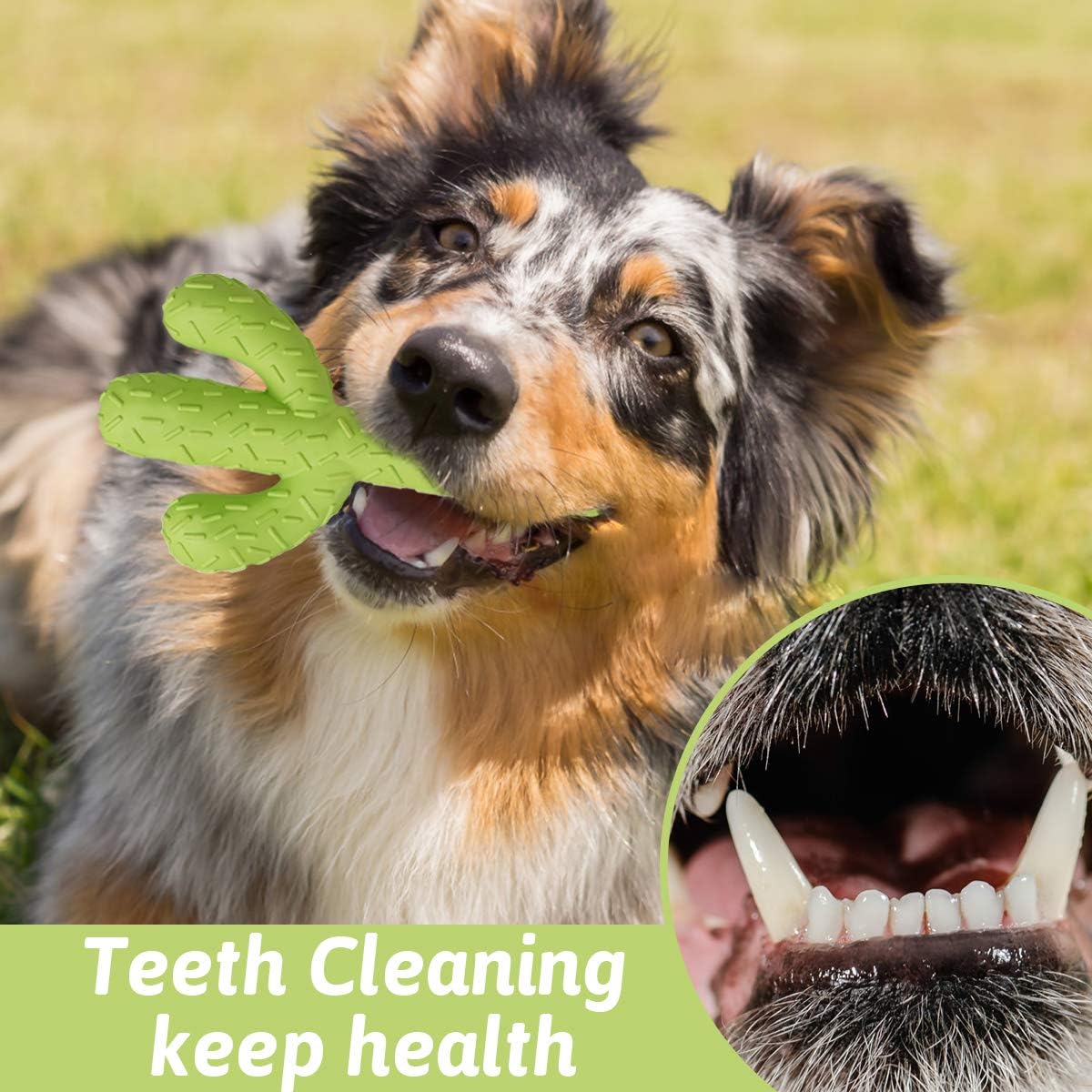MewaJump Dog Chew Toys, Durable Rubber Dog Toys for Aggressive Chewers, Cactus Tough Toys for Training and Cleaning Teeth, Interactive Dog Toys for