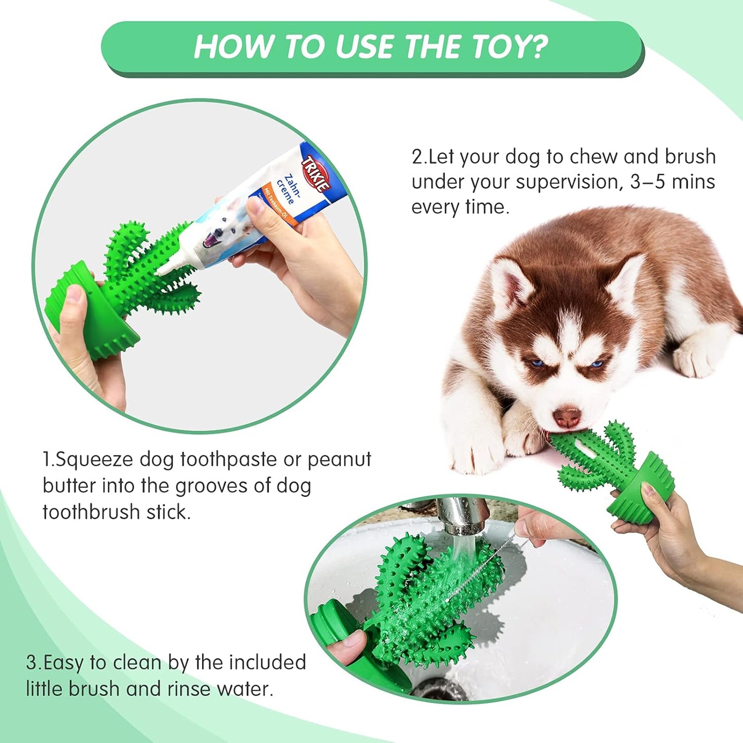 Pamlulu Dog Chew Toys Dog Toothbrush Stick Teeth Cleaning Brush Dental for Medium Large Dog, Puppy Christmas Easter Birthday Gifts, Outdoor Squeaky