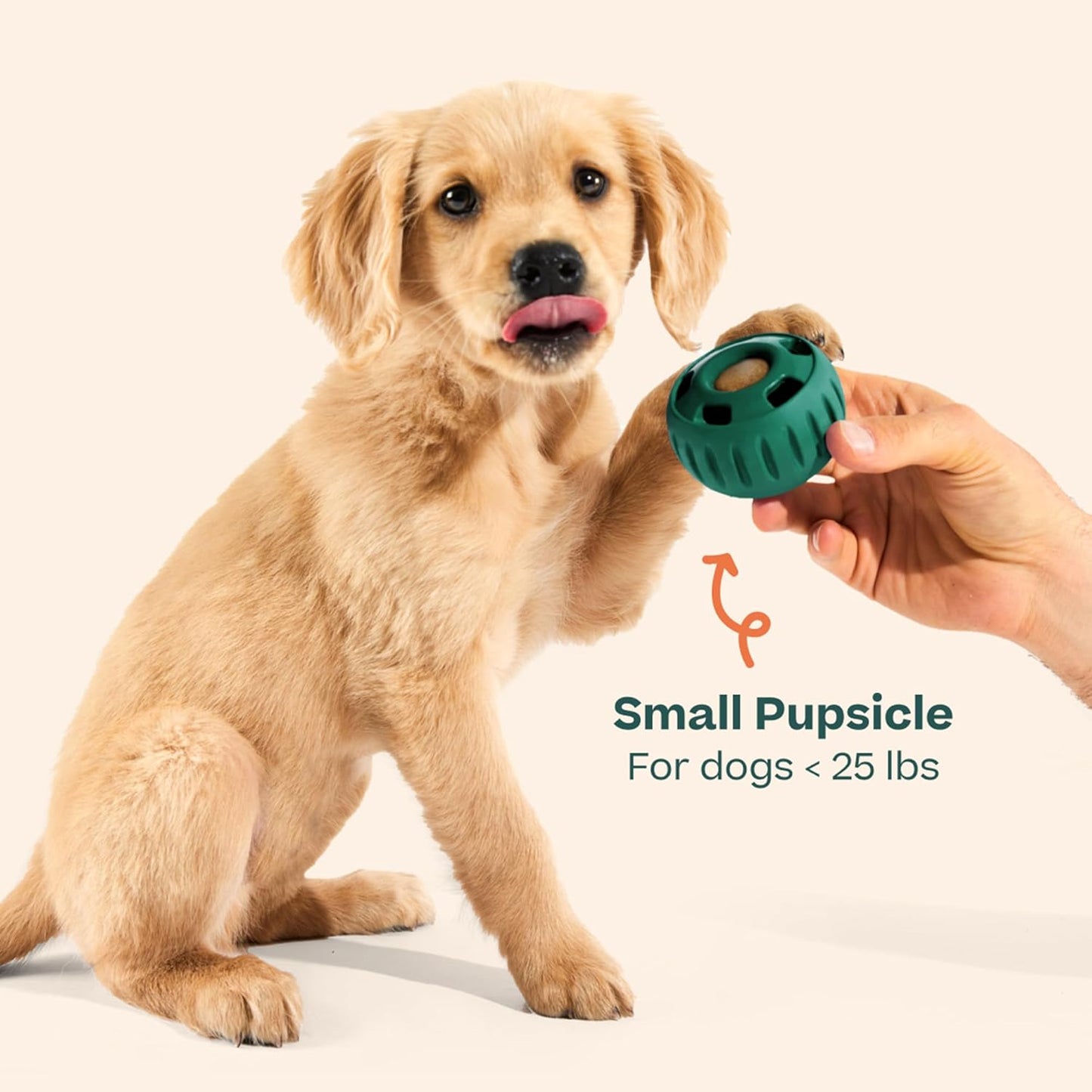 WOOF Pupsicle - Long-Lasting Interactive Dog Toy to Keep Your Pup Busy and Distracted - Safe for Dogs - Low-Mess Design - Dog Toys for Medium and