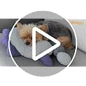 HiPetpy Dog Calming Pillow - Soft Neck Pillow for Dogs, Washable Sleep Pillow for Better Sleep, Reduces Anxiety, Gift for Small/Medium/Large Dogs and
