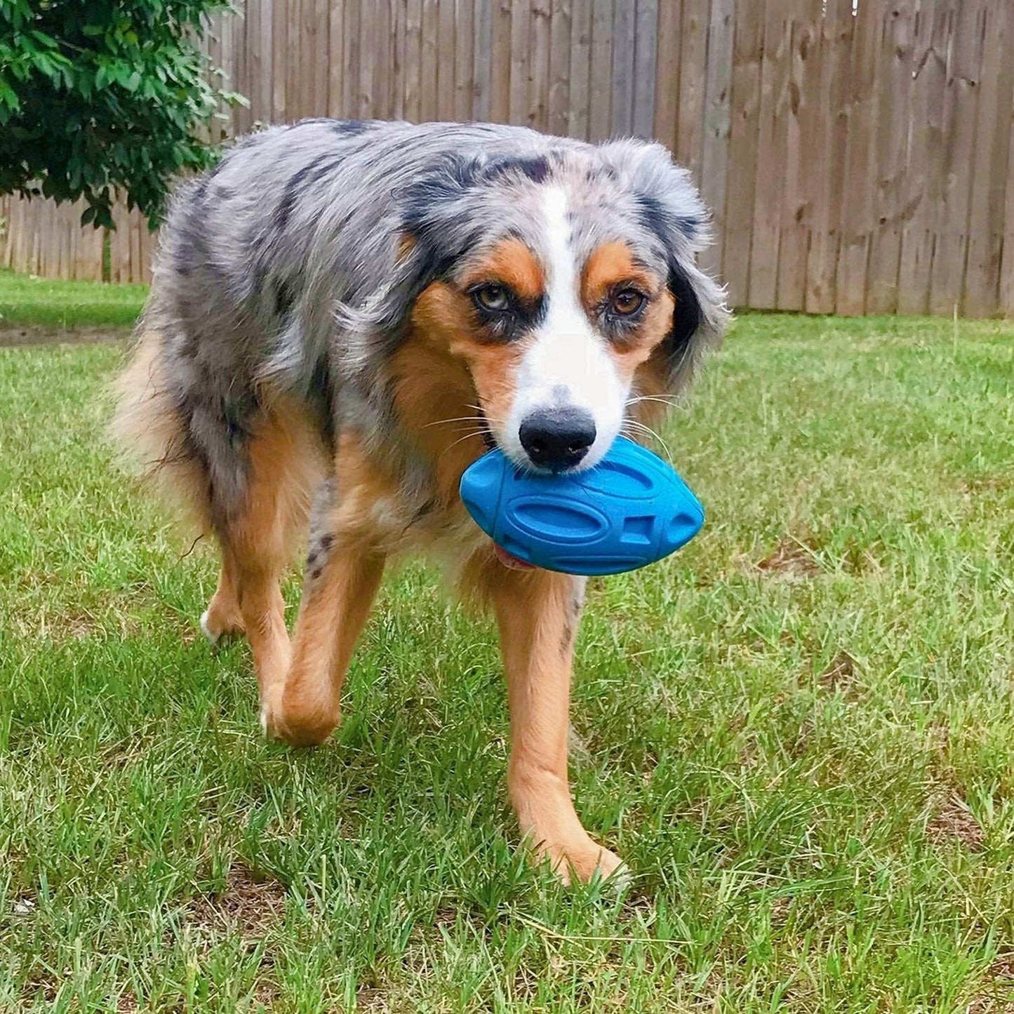 EASTBLUE Squeaky Dog Toys for Aggressive Chewers: Rubber Puppy Chew Ball with Squeaker, Almost Indestructible and Durable Pet Toy for Medium and