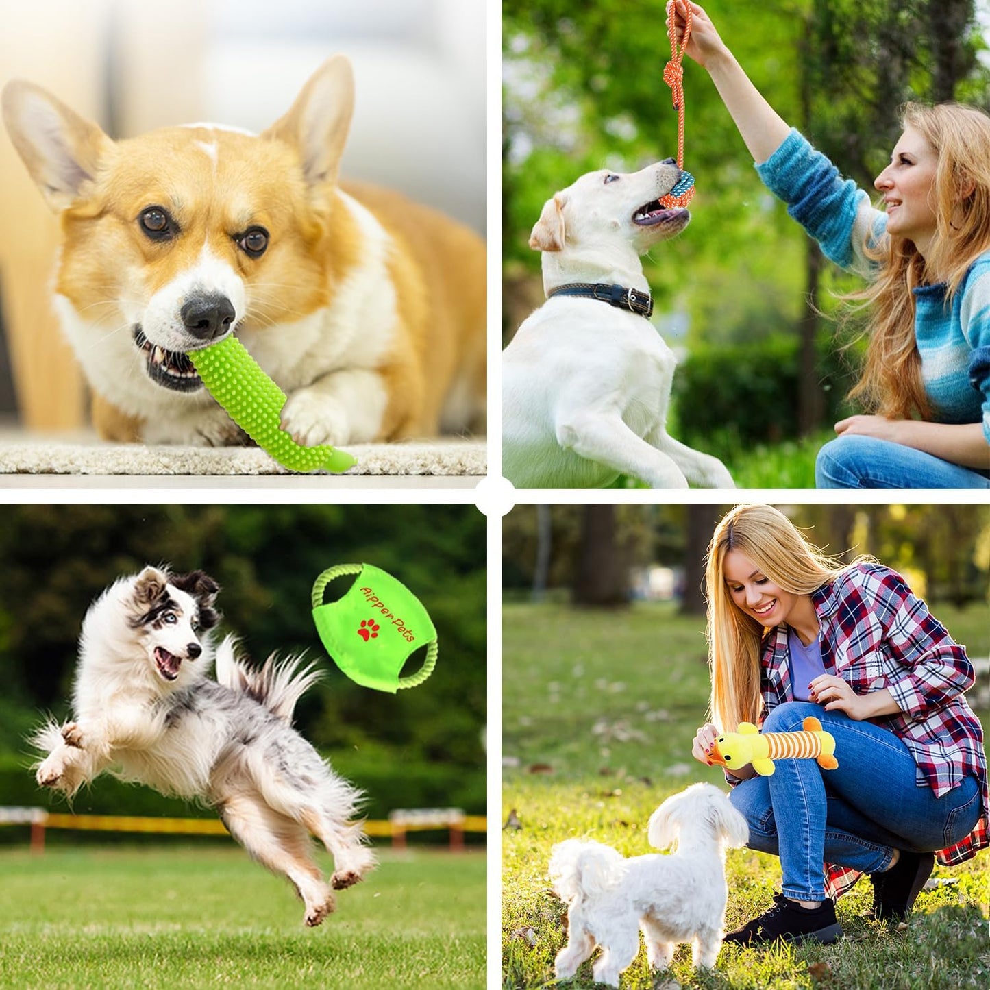 Dog Toys 25 Pack for Fun and Teeth Cleaning, Puppy Chew Toys Pack with Squeak Plush Toy,Squeaky Toy Balls,Tug of War and Rope Toys for Puppy to Small