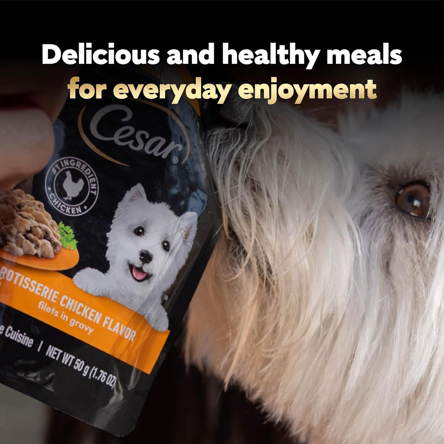 Cesar Filets in Gravy Wet Dog Food Rotisserie Chicken Flavor, Filet Mignon Flavor, and Wood-Grilled Chicken Variety Pack, Wet Food for Dogs, 1.76 oz.