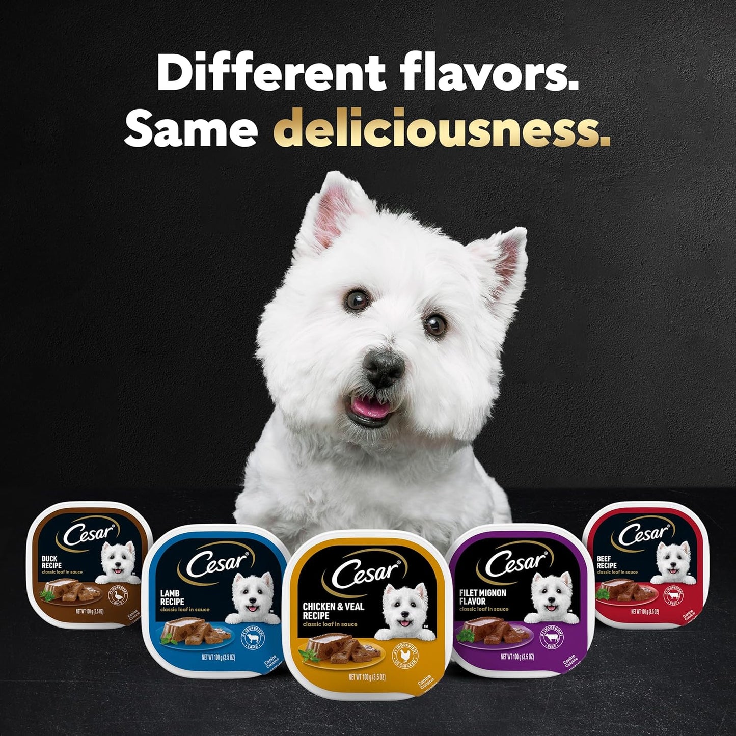 Cesar Wet Dog Food Classic Loaf in Sauce Grilled Chicken, Filet Mignon, Porterhouse Steak, Beef, Chicken & Liver and Turkey Variety Pack 3.5 oz. Easy