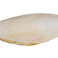 Prevue Pet Products Bpv1143 5-Inch Bird Cuttlebone, Medium