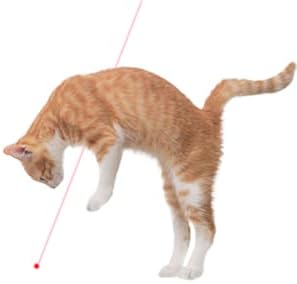 Laser Pointer Cat Toy, Interactive Toy with Red Dot LED Light Pointer, Long Range 3 Modes Projection Playpen for Kitten Interaction,USB Recharge Pointer (1 pcs)