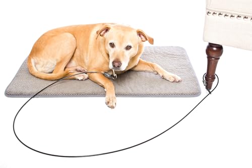 Training Tie Down - Short Tether for Dogs & Teething Puppies (4 feet)