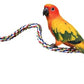 JW Pet Comfy Perch For Birds Flexible Multi-color Rope, Medium - 32" Length