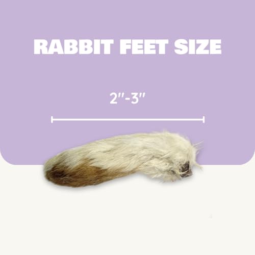 Benji & Louie Air Dried Rabbit Feet - Whole Rabbit Front Feet with Fur - Natural Healthy Dog Treats or Dog Chews, Single Ingredient, 2.5 oz, 12 Count