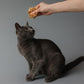 Cat-Man-Doo | Bonito - 4oz. Big Bag | Bonito Fish Flakes for Cat & Dog Treats | Healthy, Single Ingredient, Treat or Food Topper, High Protein