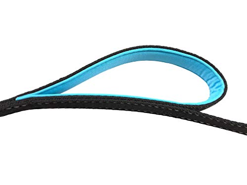 Primal Pet Gear Dog Leash 6ft Long,Traffic Padded Two Handle,Heavy Duty,Reflective Double Handles Lead for Control Safety Training,Leashes for Large