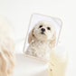 OUAI Fur Bébé Pet Shampoo - Cat & Dog Shampoo for Gentle Cleansing, Hydration & Shine - Vegan & Cruelty-Free Pet Supplies with Aloe Vera & Panthenol - Mercer Street Scent (16 Fl oz)