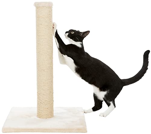 Trixie Parla Cat Scratching Post 24.4 Inch - Cat Scratcher with Soft Fabric Covering Base and Durable Sisal Rope - in Beige