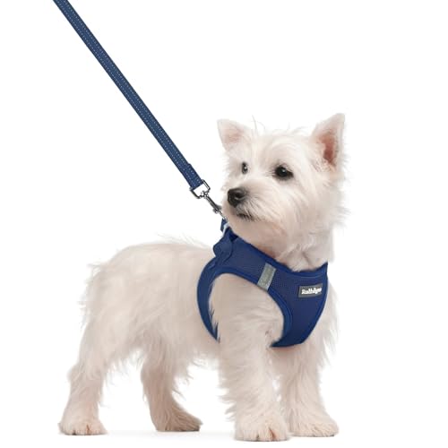 rabbitgoo Dog Harness Small Sized and Leash Set, Step in Soft Light Puppy Vest, Breathable Mesh Pet Harness, Reflective for Safe Outdoor Walking