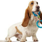 Petstages Dental Links Dog Chew Toy – Puppies & Adults, Strong Chewers, Multiple Textures & Rope, 8.5" x 4" x 1"