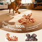 2 Pack Indestructible Dog Chew Toys for Aggressive Chewers: Ultra-Dense Nylon, Bacon Flavor Chew Bones, Heavy Duty Tough Toys for Large Dogs 20-90 lbs, Long Lasting & Keep Them Busy (XL)