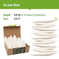 Large - 100% Natural Calcium Supplement - Premium Cuttlebone perfect for Birds, Tortoises, Snails, Reptiles - 5.5 to 7 inch
