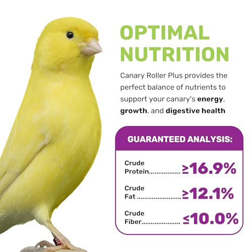 Canary Plus 5 Lbs, Premium Mixed Birdseed, Canary Bird Food with Essential Vitamins and Minerals, Healthy Balanced Nutrition, Supports Daily Energy & Growth, Bird Seed for Pet Birds