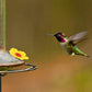 16 Pieces Hummingbird Feeders Replacement Flowers Yellow Pet Replacement Bird Feeder Replacement Parts with 2 PCS Brush Feeding Ports Bee Guards for Hummingbird Feeders for Outdoors Hanging Feeder
