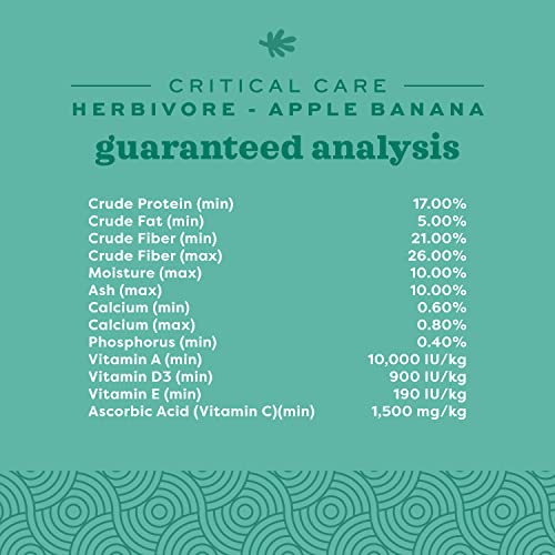 Oxbow Critical Care Herbivore, Emergency Guinea Pig Food, Rabbit Food for Recovery, Natural Apple Banana Flavor, Critical Care for Guinea Pig Emergency Kit, Made in USA, 141 Grams