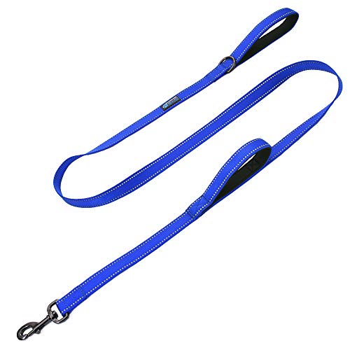 Max and Neo™ Double Handle Traffic Dog Leash Reflective - We Donate a Leash to a Dog Rescue for Every Leash Sold (Blue)