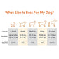 Basics Cooling Breathable Elevated Dog Bed with Metal Frame for Large Dogs, 51 x 31 x 8 Inch, Grey