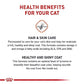 Royal Canin Feline Care Nutrition Hair & Skin Care Adult Dry Cat Food, 3 lb Bag