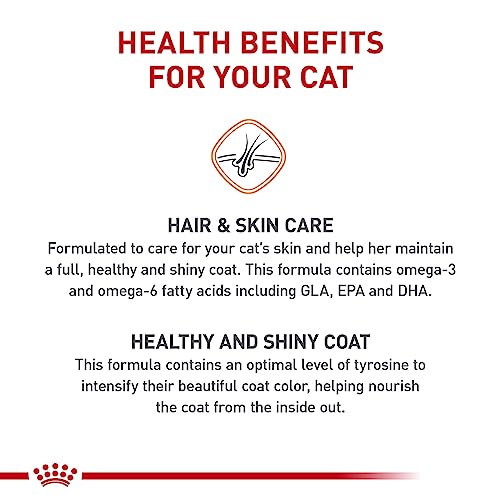 Royal Canin Feline Care Nutrition Hair & Skin Care Adult Dry Cat Food, 3 lb Bag