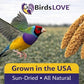 Birds LOVE Millet Tips & Tails for Birds - Parakeets, Cockatiels, Lovebirds, Finches, Budgies, Canaries, Cockatoos - Natural & Healthy Millet for Birds - Parakeet Food & Treats for All Parrots, 1lb