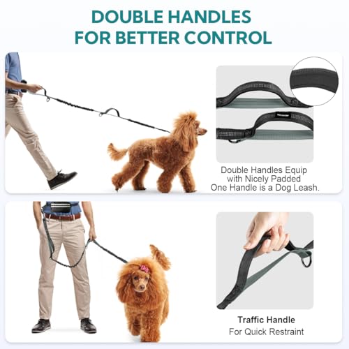 Hands Free Dog Leash, Double Dog Leash with Waist Bag, Back Brace, Double Padded Handles, Running Belt Fanny Pack with Phone, Treat, (Large, 26-120